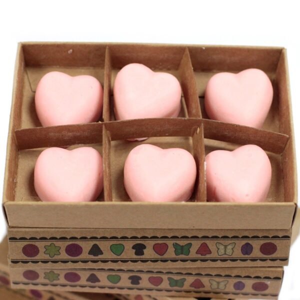 bG9jYWw6Ly9tZWRpYS8xTi84RS82MFIzMEMxRzZNUks4RTFOLzVlNGU4ZTMxLmpwZWc.jpg Caja de 6 ceras de Soja - Sangre de Dragon