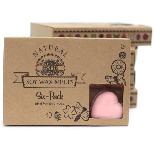 bG9jYWw6Ly9tZWRpYS8xUS84RS82MFIzMEMxRzZNUks4RTFRLzU2ZjM4YjY2LmpwZWc.jpg Caja de 6 ceras de Soja - Sangre de Dragon