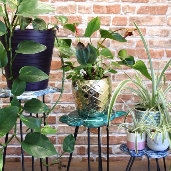 Juego de 3 maceteros de madera Gamell - Natural