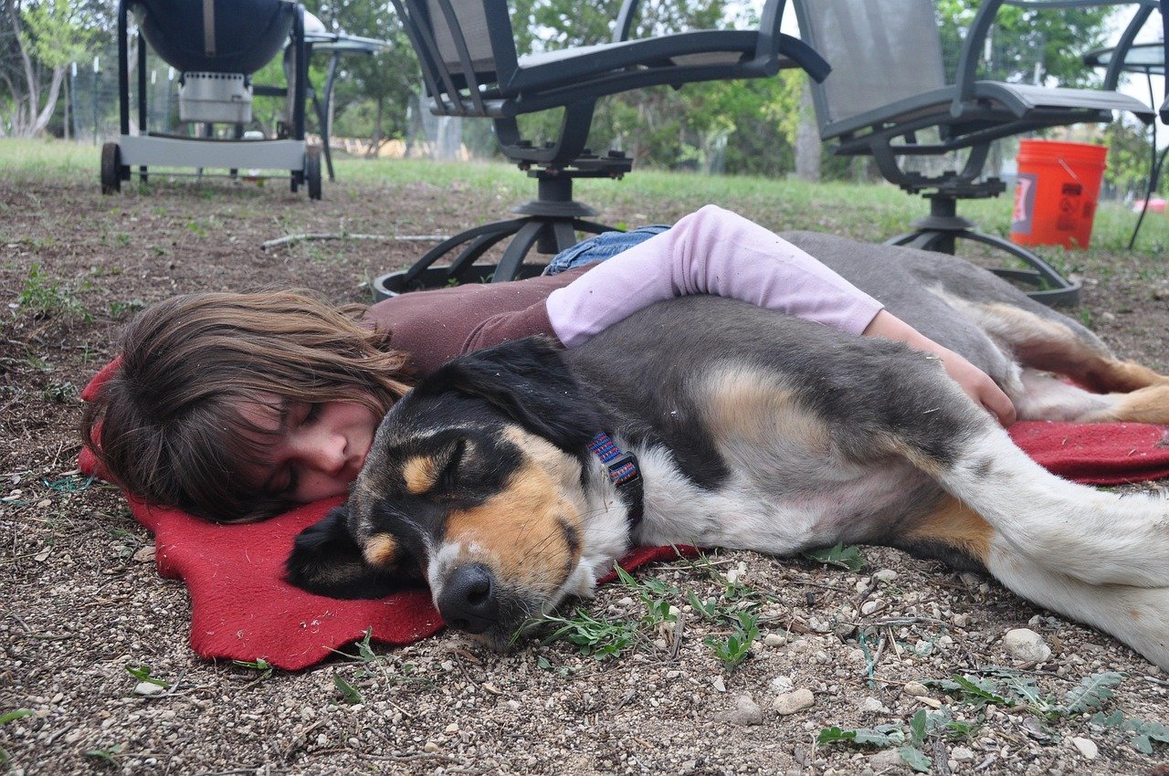 dog, girl, friendship, napping, nap, sleep, sleeping, together, friends, happiness, childhood, pet, female, young, person, canine, adorable, domestic, cute, hugging, outdoors, relationship, gray happy, gray dog, gray sleep, gray sleeping, gray pets, animal, gray happiness, gray hug, gray together, gray friendship