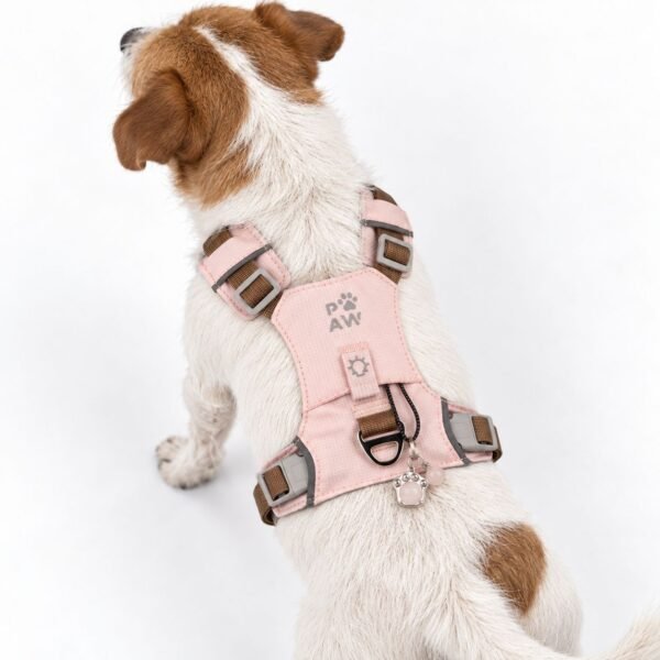 PAW - S (4-8 kg) Arnés de paso para perros Guardian con malla reflectante - Rosa suave - Colgante de cuarzo rosa
