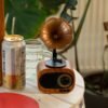 bG9jYWw6Ly9tZWRpYS85US9HRS82MFIzMEMxSjY0V0tHRTlRL2I5OGZjNzcxLmpwZw.jpg Altavoz mini gramófono retro - Bluetooth y radio FM - 5 vatios x 1