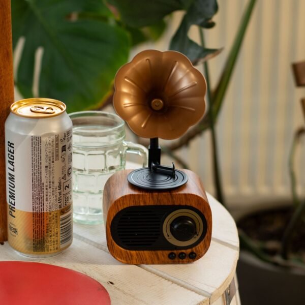 bG9jYWw6Ly9tZWRpYS85US9HRS82MFIzMEMxSjY0V0tHRTlRL2I5OGZjNzcxLmpwZw.jpg Altavoz mini gramófono retro - Bluetooth y radio FM - 5 vatios x 1