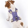 PAW - S (4-8 kg) Arnés de paso para perros Guardian con malla reflectante - Lavanda - Colgante de amatista