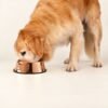 PAW Cuencos para comida - Estilo cobre único - 22 cm - Acero inoxidable (304)