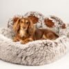 PAW Bed – Pata Grande – 70cm