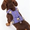 PAW - XS (2-4 kg) Arnés de paso para perros Guardian con malla reflectante - Lavanda - Colgante de amatista