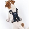 PAW - S (4-8 kg) Arnés de paso para perros Guardian con malla reflectante - Gris roca - Colgante de obsidiana negra