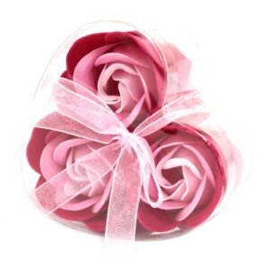 bG9jYWw6Ly9tZWRpYS9IRy9BRC82MFIzMEMxRzZHVjNBREhHLzUxMmUyYTUxLmpwZWc.jpg Set de 3 flores de Jabón caja corazón - rosas rosa