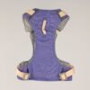 PAW - S (4-8 kg) Arnés de paso para perros Guardian con malla reflectante - Lavanda - Colgante de amatista